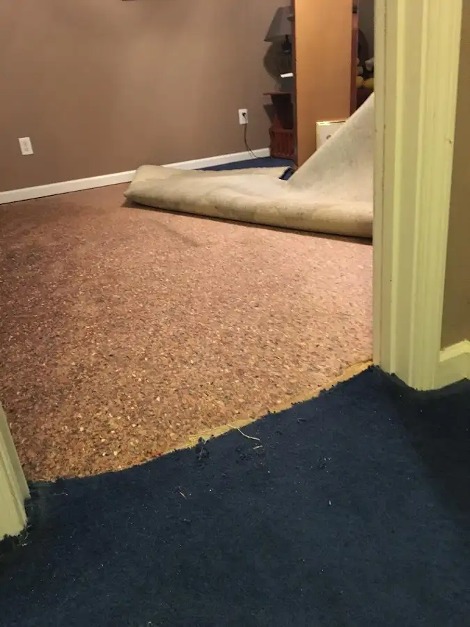 Carpet pad removal revealing water damage during Drying & Dehumidification in Pearl