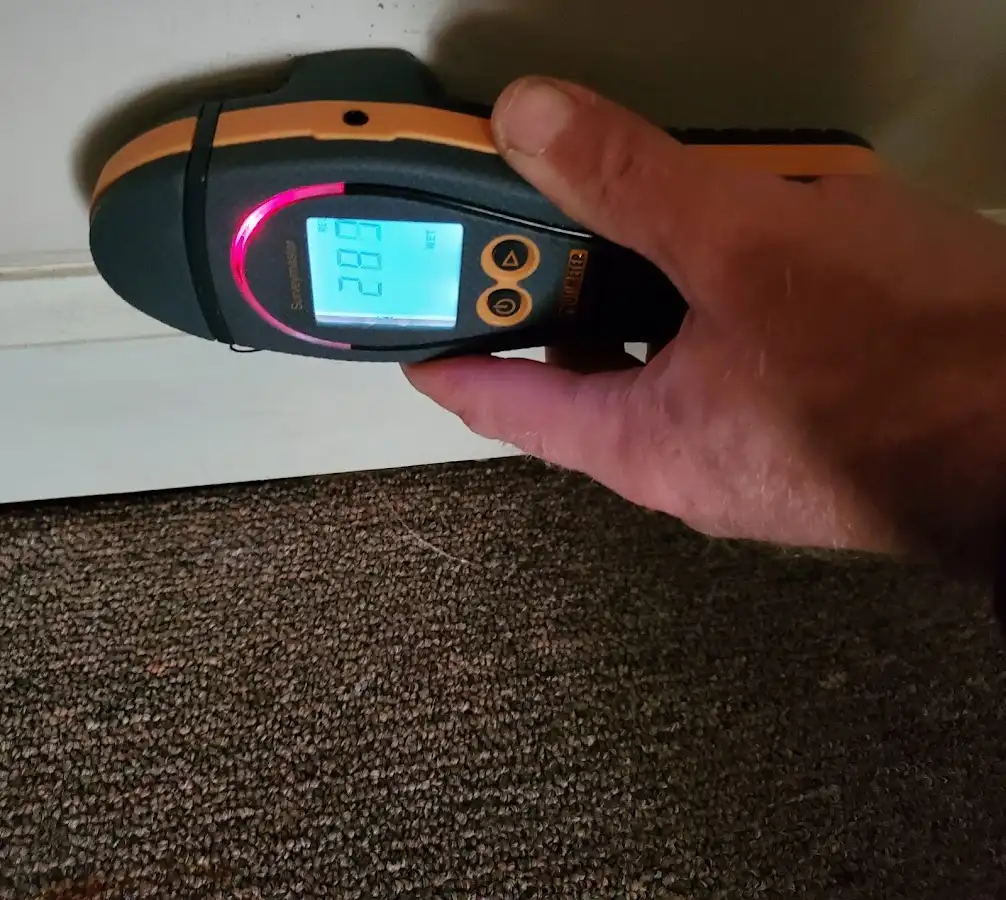Moisture detection at baseboard during Sewage Cleanup & Sanitation in Pearl